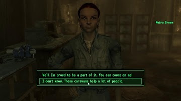 Fallout 3 pyro build