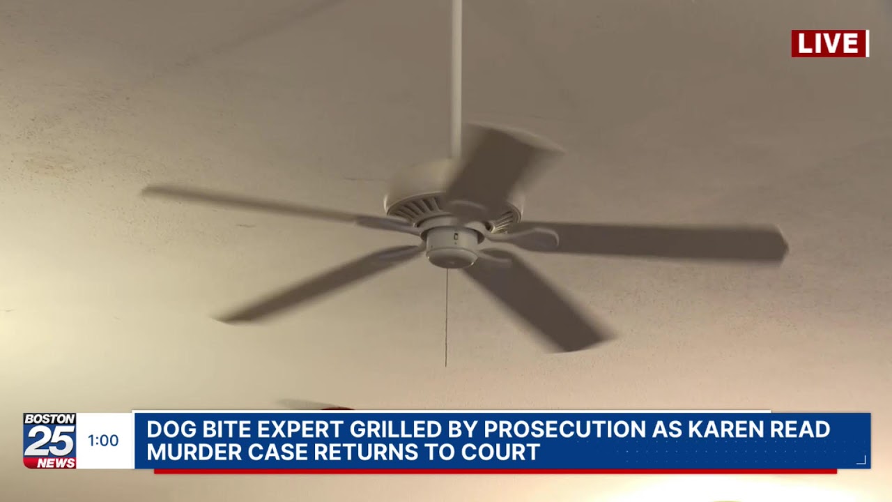 WATCH LIVE: Dog bite expert grilled by prosecution as Karen Read murder ...