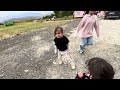Aden Melis köy vlog