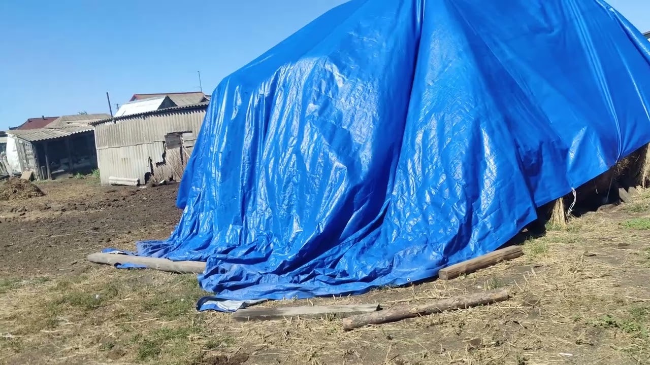 Ein Lebenszeichen! Was wir aktuell machen? #24