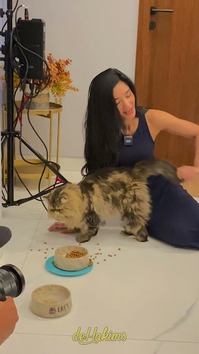 MAIN SAMA KUCING FANNY GHASSANI!