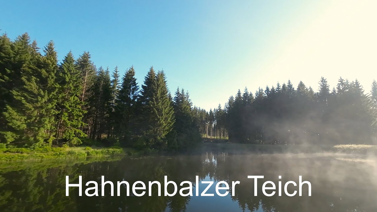 Hahnenbalzer Pond Hahnenbalzer Teich YouTube