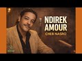 Cheb Nasro N Direk Amour Arabic Folk Jazz Cover الشاب نصرو نديرك أمور نسخة جاز فلكلورية 