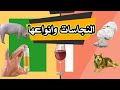 أنواع النجاسات بالصور