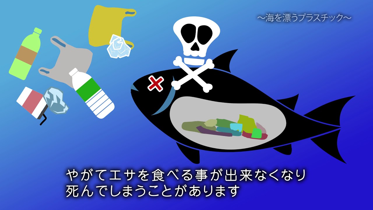 ポイ捨てごみはどこへ行く 海を漂うプラスチック Youtube