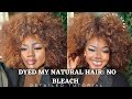 How to dye hair honey blonde  no bleach step by step natural hair ombre color