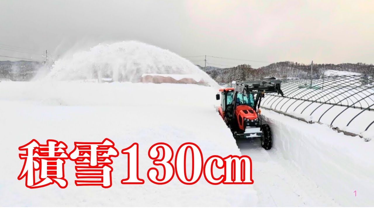 【積雪130cm】育苗ハウスが埋没…スノーブロアで限界除雪