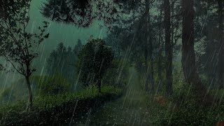✅ 《暴雨催眠所｜8D雷暴ASMR》Thunder Sleep: 8D Storm ASMR失眠終結 ， PTSD舒緩｜專注學習，Insomnia Fix & Focus Boost