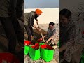 Waheguru Ji Sarea De Supne Pure Kreo 🙏🏻 | #youtube #family #shorts #shortvideo
