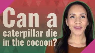 Can a caterpillar die in the cocoon