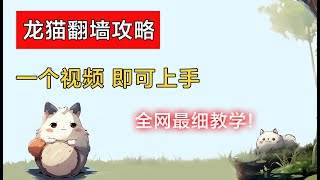 最强翻墙攻略，一个视频搞定pc端翻墙，傻瓜式攻略带你畅游网络世界