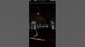 تلاوة طيبة للشيخ سعد الغامدي #quran
