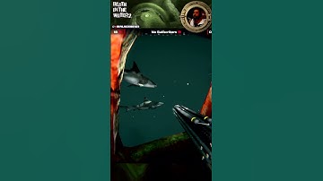 🦈 Shark Got Me Anyway!!!