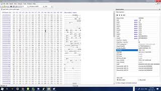 05 Hex Editor with Datatypes