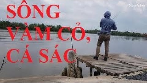 Câu cá Sác sông Vàm Cỏ Đông LONG AN cá ăn giật quá đã | NÊN VLOG