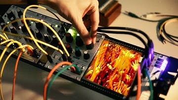 Mutable Instruments Ears and Clouds: Tortures of the Damned