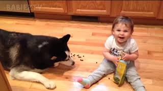 2أطفال رائعتين اللعب مع الكلاب والقطط   أطفال مضحك تجميع 2018