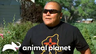 Incredible Bigfoot Sightings EXPOSED! | Finding Bigfoot | Animal Planet