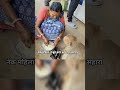 नेक महिला ने बूढ़े बंदर को दिया सहारा ll #monkey #animals #shorts