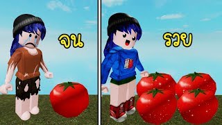 Ava Game Brasil Vlip Lv - ช ว ตของนางฟ า roblox fairy cove