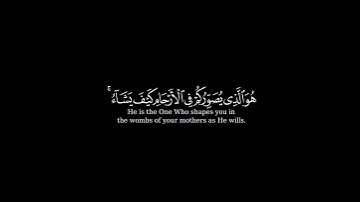 كرومة شاشه سوداء بصوت الشيخ عادل ريان من سورة آل عمران )