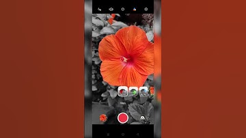 Colour Splash photography without any app || #splasheffect#realme6pro#mobilephotography