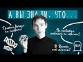 Этого вы точно не знали! 10 ФАКТОВ О...Осипе Мандельштаме | Лит-ра