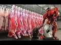 مصنع لحم ابقار بتكنولوجيا سوبر باعلي درجات الدقة والنظافة Cattle meat processing