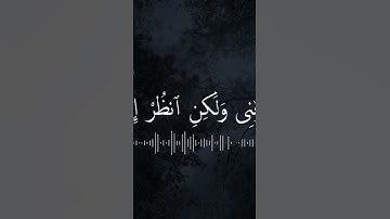 تلاوة هادئة تريح الاعصاب 🌺 قران كريم 🌺 بصوت جميل جدا جدا 🌺 سبحان من رزقه هذا الصوت #ادریس_ابکر