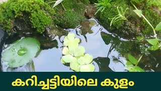 Pond| Small Pond in Curry Pot| കറിച്ചട്ടിയിലെ  കുഞ്ഞുകുളം |Shinus Dot Com|