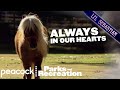 Lil' Sebastian Very Special Compilation | Parks and Recreation