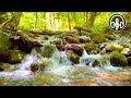 Sound Of A Mountain Stream. 12 Hours Of Nature Sound For Deep Sleep, Study, Relaxation.