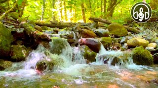 Sound Of A Mountain Stream. 12 Hours Of Nature Sound For Deep Sleep, Study, Relaxation.