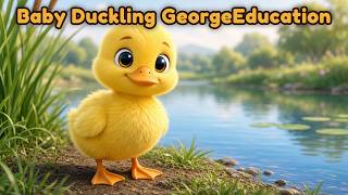 Baby Duckling | Cute Baby Animals for Kids | George Education