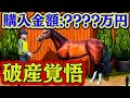 この馬に牧場の将来を賭けます。【ロマン牧場33話】