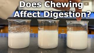 Does it actually matter if you chew your food?