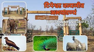 Tipeshwar Wildlife Sanctuary | टिपेश्वर वन्यजीव अभयारण्य
