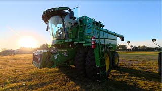 картинка: Первый день сбора кукурузы в Небраске 2025 года