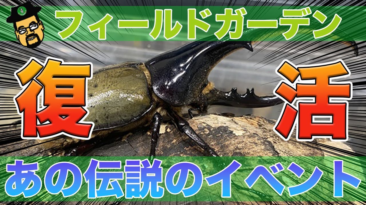 見逃し厳禁】伝説のイベント虫クジの景品内容を大公開！！ - YouTube