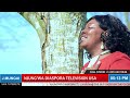 Njungwa daispora television live stream