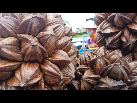 Видео: Can You Eat Pindo Palm Fruit: использование и идеи съедобных фруктов пиндо