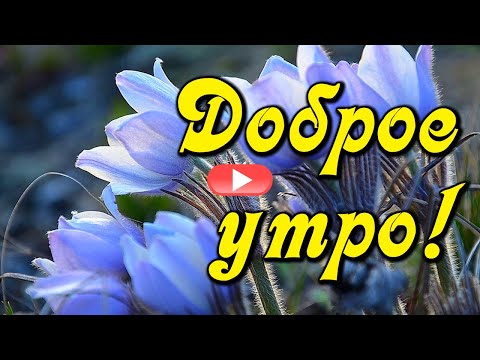 Доброе утро! С новым весенним днем! Счастливой весны! Красивая музыкальная открытка С Добрым утром.