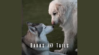 Peaceful Tail Wag Beats