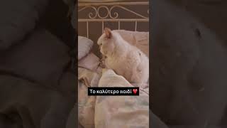 Το καλύτερο παιδί ❤️ #κατοικιδια