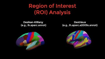 FreeSurfer #11: ROI Analysis