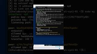 How to Setup WireGuard VPN on Rocky 9 Linux - Clip 65
