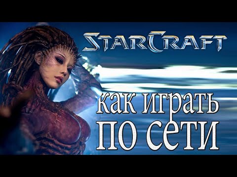 Как играть в StarCraft 1 (Brood War) по сети