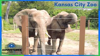 KC Zoo - Swope Park | Things to Do in Kansas City