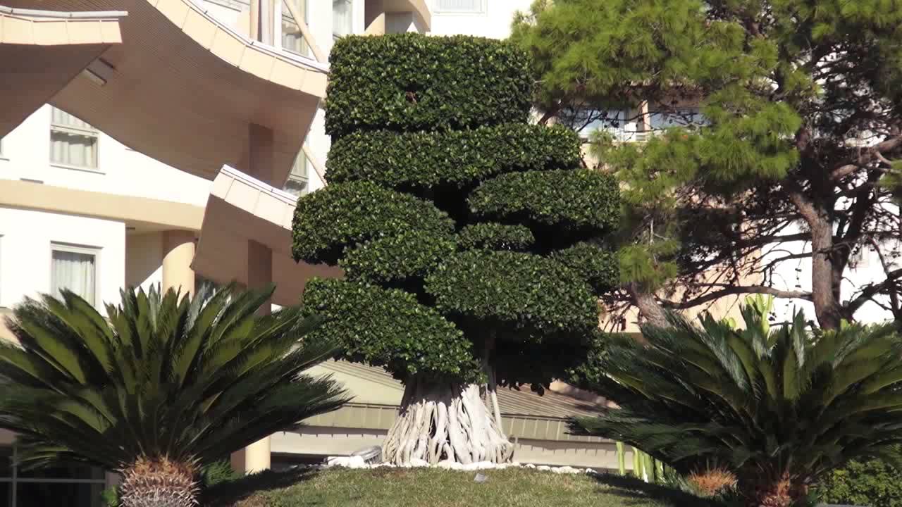 Sueno Hotels Beach Side ( 1 часть )