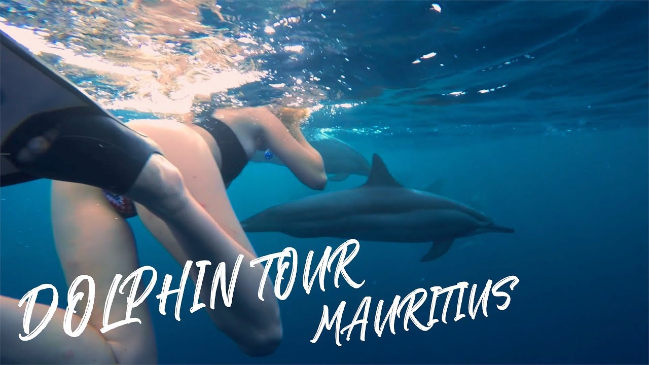 MAURITIUS || DOLPHINS || Cinematic Travel Movie || Sony Alpha Cam || DJI Mavic